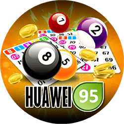 Huawei95